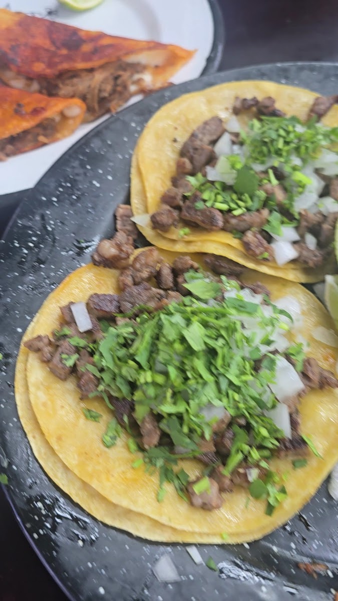 Taqueria La Revolucion Fort Worth Photo 2